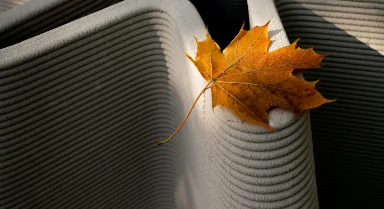 Mechanics Lien Services Leaf On Concrete( )