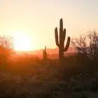 How To File A Mechanics Lien In Arizona