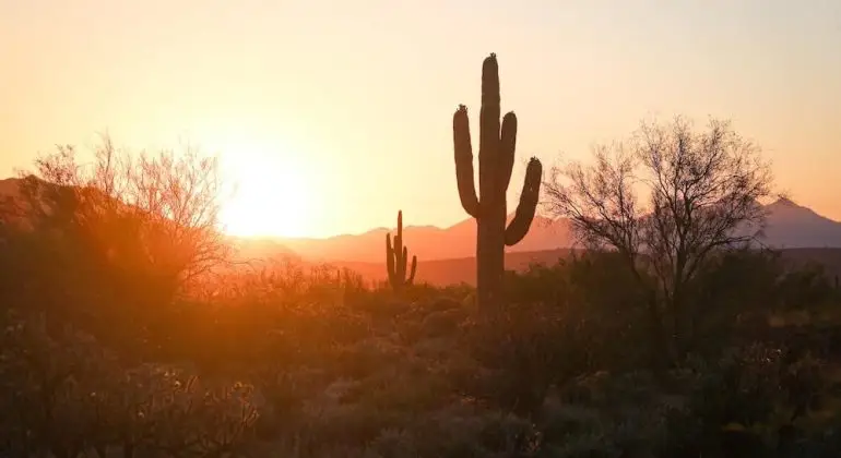 How To File A Mechanics Lien In Arizona